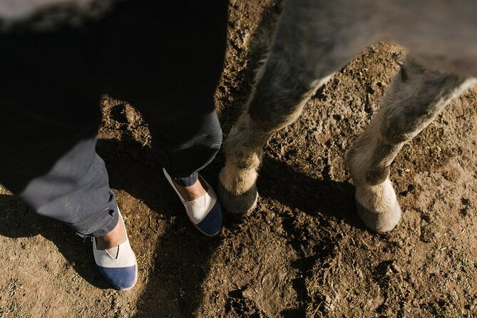 rancho-gaucho-estate-expeditions-3-days