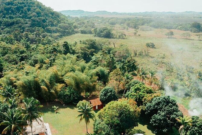 rastafari-cultural-atv-community-experience-from-negril