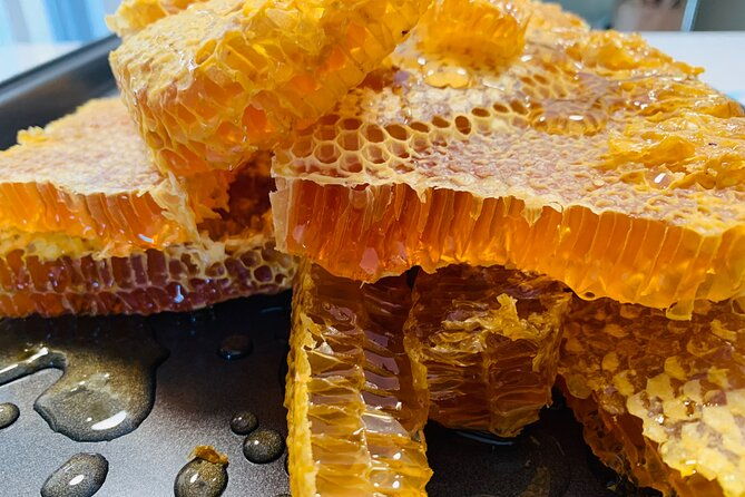 reagans-honey-beekeeping-adventure