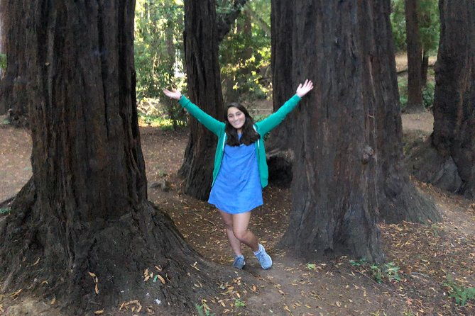 redwoods-of-marin-and-mt-tamalpais-walking-tour-with-local-guide