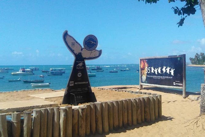 regular-tour-to-forte-beach-leaving-salvador-by-bahia-top-turismo