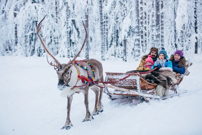 reindeer-sleigh-ride-and-farm-experience-from-rovaniemi