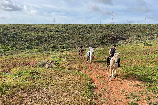 relaxing-horse-riding-tour-in-gran-canaria-4
