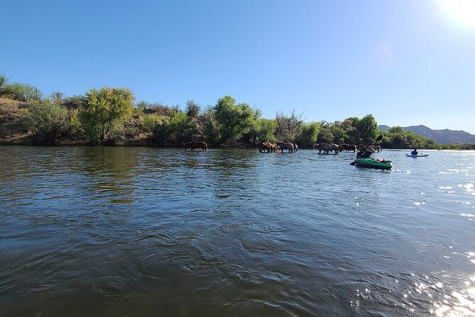 rent-a-paddle-board-and-float-the-lower-salt-river