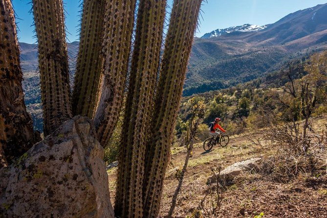 rent-an-electric-mountain-bike-in-santiago-to-ride-in-a-bike-park