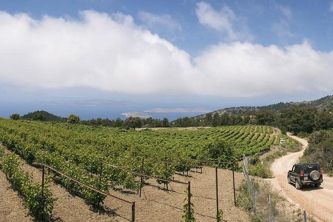 rhodes-uncharted-south-safari-mountains-monasteries-flavors