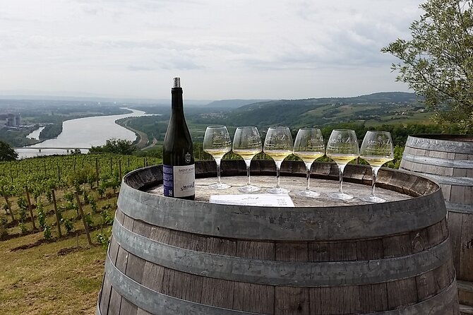 rhone-valley-wine-tasting-private-day-tour-from-lyon