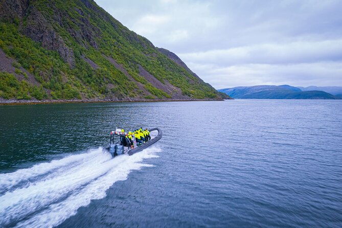 rib-expedition-to-seiland-national-park-3-5h