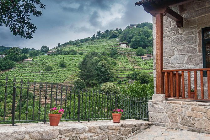 ribeira-sacra-heroic-wines-private-tour-from-santiago