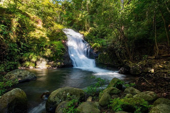 rincon-de-la-vieja-one-day-waterfalls-expedition