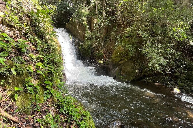 rincon-de-la-vieja-santa-maria-nature-hike-hot-springs-half-day