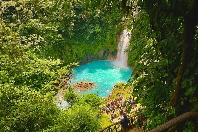 rio-celeste-expedition-discovering-natures-treasures-and-sloths