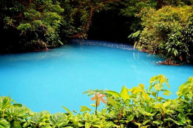 rio-celeste-river-tubingrainforestwildlifewaterfallactive-volcano-private