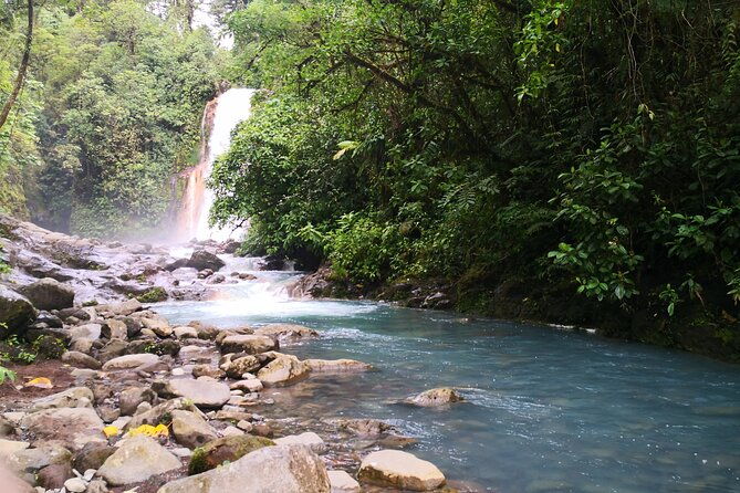 rio-celeste-river-waterfall-hike-and-hot-springs-tour-from-san-jose-costa-rica