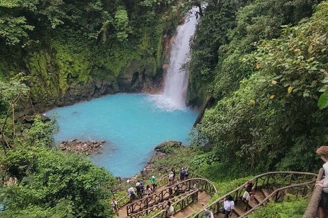 rio-celeste-waterfall-peace-tree-encounter-sloth-adventure