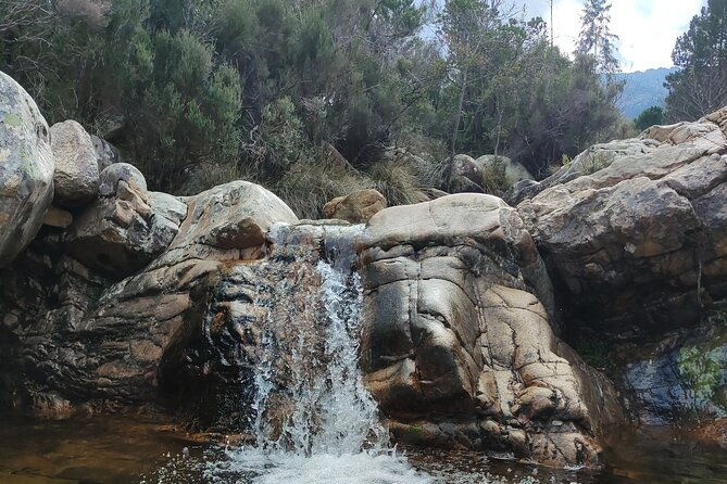rio-pitrisconi-monte-nieddu-excursion