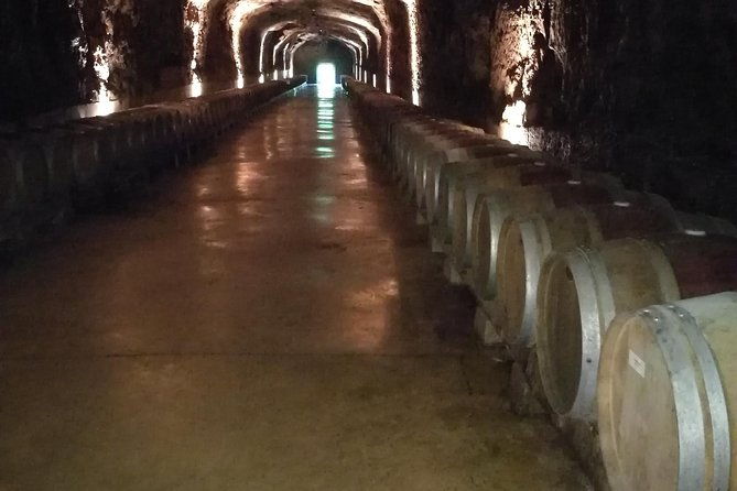 rioja-wine-private-tour-from-san-sebastian