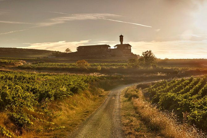 rioja-wine-tour-winery-traditional-lunch-from-vitoria