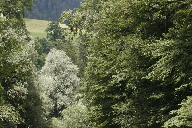 river-rafting-simme-with-outdoor