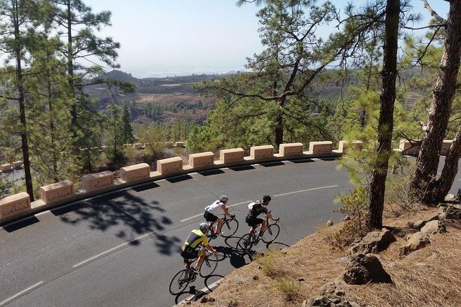 road-cycling-tenerife-teide-route