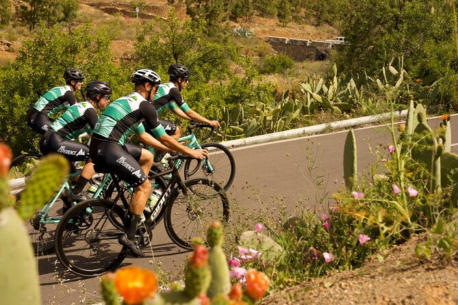 road-cycling-tenerife-vilaflor-route