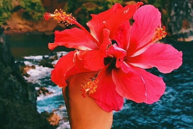 road-to-hana-tour-with-go-pro-10-videography