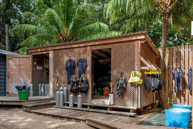 roatan-2-dive-scuba-adventure-for-certified-divers