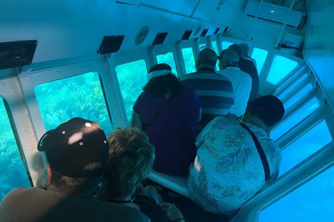 roatan-jungle-top-wildlife-guided-eco-park-tour