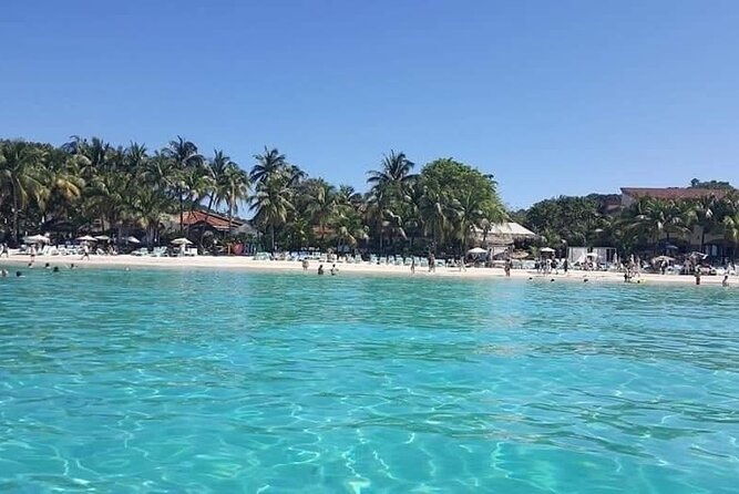 roatan-monkey-sloth-tour-chocolate-rum-factory-beach-break