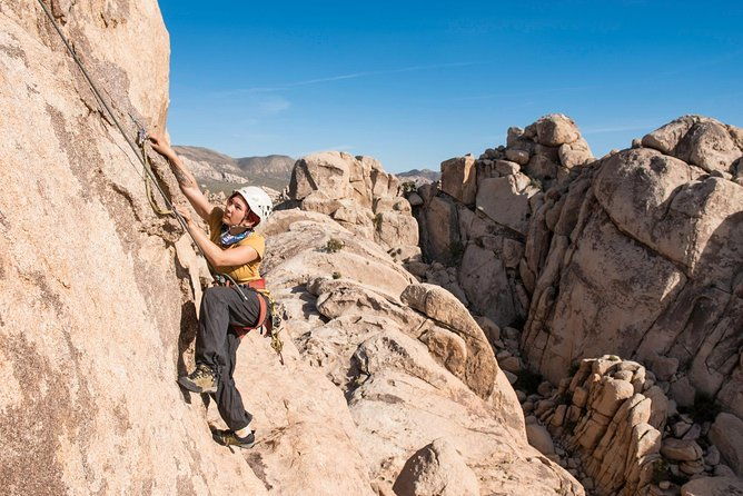 rock-climbing-trips-in-joshua-tree-national-park-6-hours