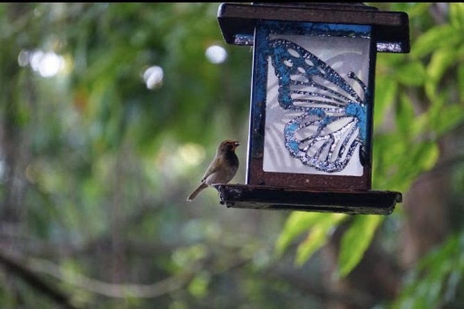 rockland-bird-sanctuary-and-hip-strip-shopping