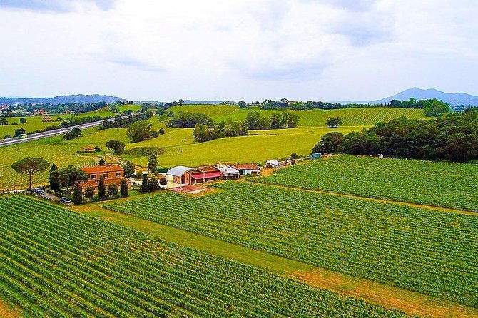 romantic-vespa-tour-and-wine-tasting