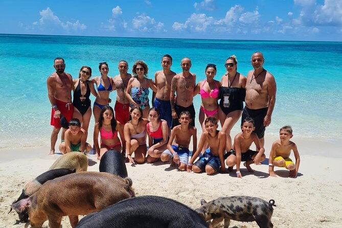 rose-island-swimming-pigs-half-day-boat-tour-with-lunch