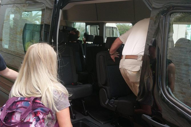 round-trip-cruise-shuttle-houston-to-galveston-port-for-10-guests