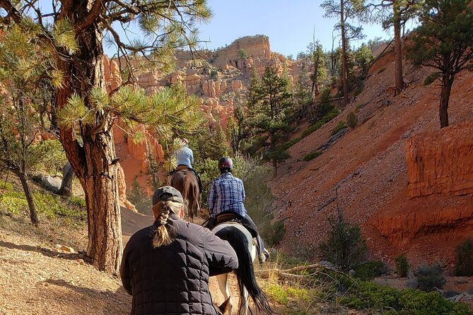 rubys-horseback-adventures-utah-thunder-mt-4-hour-ride-2