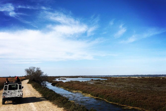 safari-4x4-camargue-2-hours-saintes-maries-de-la-mer-private-tour-4