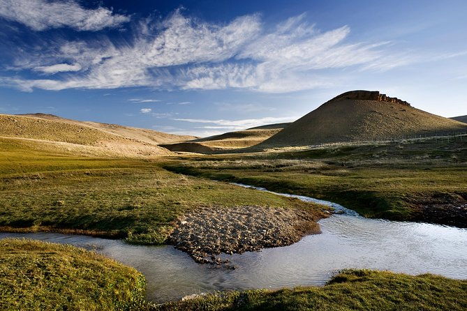 safari-experience-wildlife-steppe
