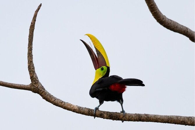 safari-float-and-wild-life-experience-in-arenal