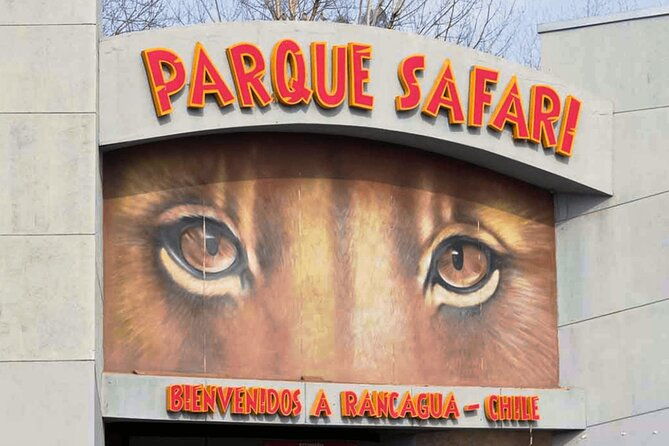 safari-park-wild-experience