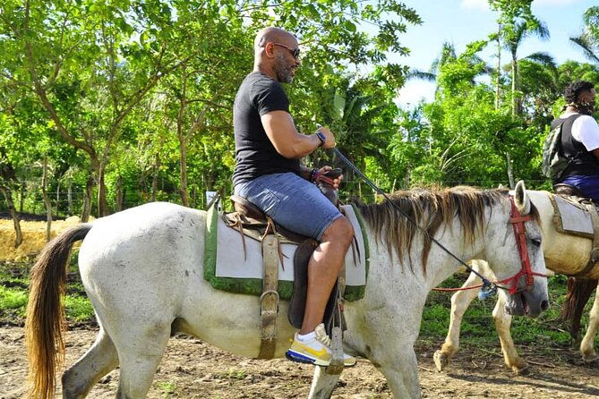safari-tour-in-punta-cana-all-day-an-unforgettable-adventure
