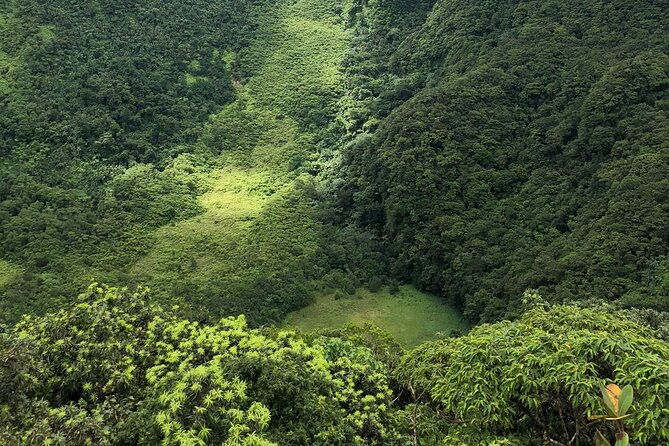 saint-kitts-highest-peak-hike-mount-liamuiga-volcano