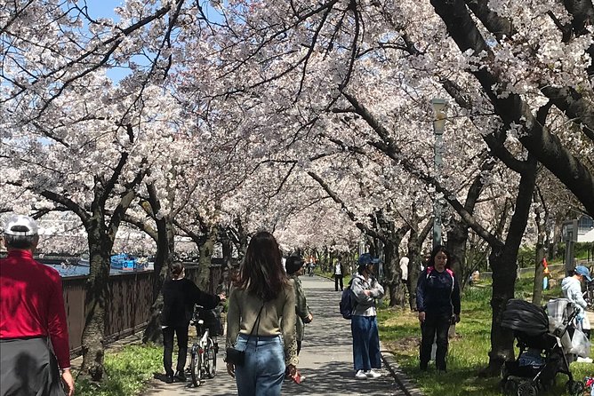 sakura-picnic-hanami-in-osaka-spring-only-2