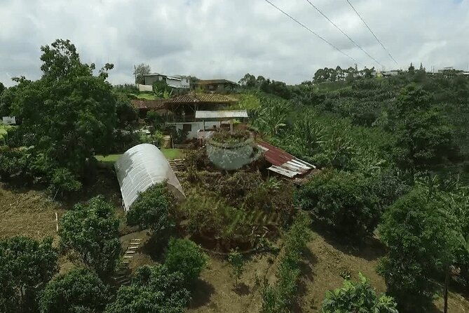 salento-and-cocora-tour-plus-coffee-farm-from-pereira-or-armenia