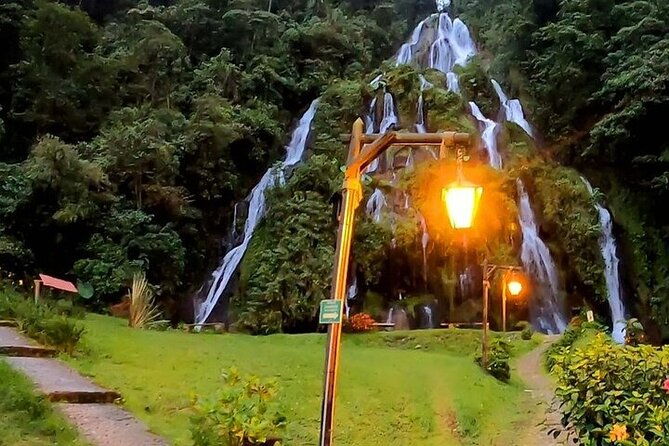 salento-cocora-and-hot-springs-tour-from-pereira-or-armenia