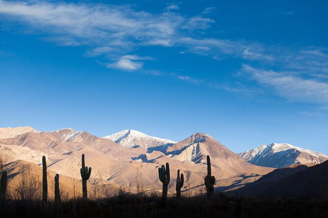salta-calchaqui-valley-scenic-drive-and-day-trip-to-cachi