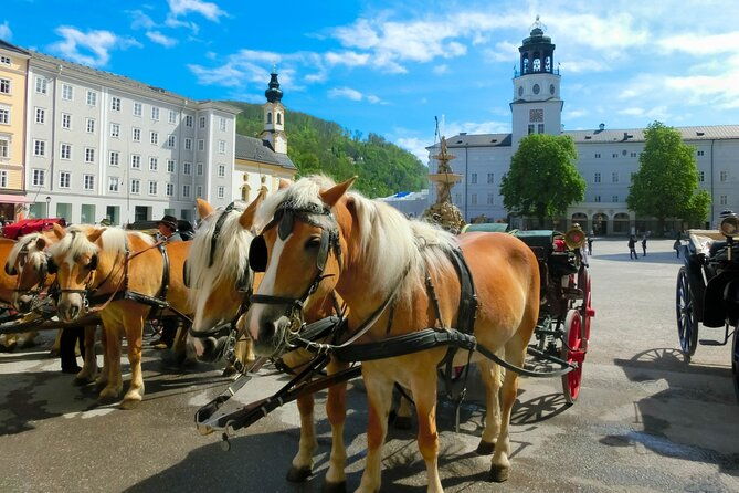 salzburg-and-lake-region-private-day-trip-from-vienna