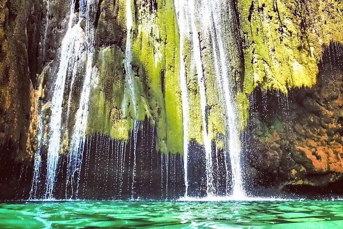 samana-whale-watching-cayo-levantado-limon-waterfalls-from-punta-cana-hotels