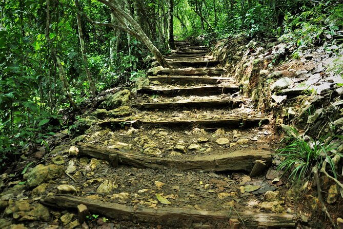 samana-whale-watching-waterfall-cayo-levantado-adventure