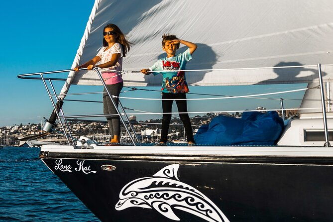 san-diego-half-day-marine-wildlife-tour-with-lunch-2
