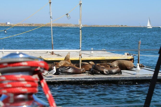 san-diego-private-morning-sail-up-to-12-guests